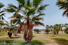 Apartamento en Torre Pacheco - Casa Bonsai M - Mid Term on Mar Menor Golf Resort