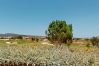 Apartamento en Sucina - Casa Atlantico MVL - Mid Term on Hacienda Riquelme