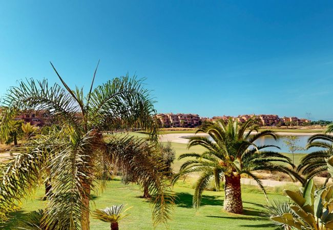 Apartamento en Torre Pacheco - Ginkgo 302891-A Murcia Holiday Rentals Property Apartamento en Torre Pacheco - Ginkgo 302891-A Murcia Holiday Rentals Property