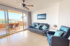 Apartamento en Torre Pacheco - Ginkgo 302891-A Murcia Holiday Rentals Property