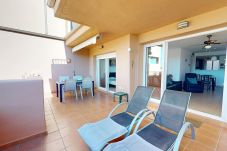 Apartamento en Torre Pacheco - Ginkgo 302891-A Murcia Holiday Rentals Property