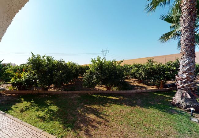 Villa en Torre Pacheco - Villa Desamparados-Murcia Holiday Rentals Property Villa en Torre Pacheco - Villa Desamparados-Murcia Holiday Rentals Property