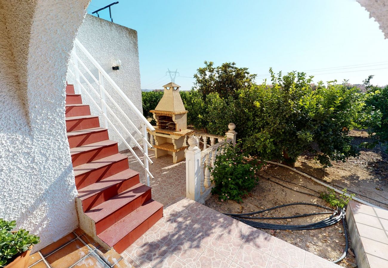 Villa en Torre Pacheco - Villa Desamparados-Murcia Holiday Rentals Property Villa en Torre Pacheco - Villa Desamparados-Murcia Holiday Rentals Property