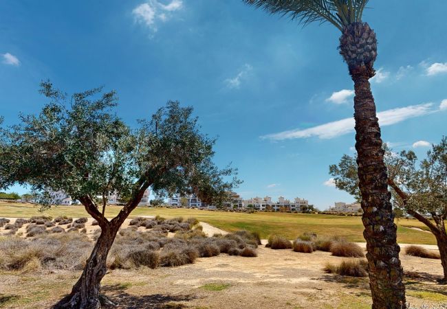 Apartamento en Sucina - Penthouse Egeo C-A Murcia Holiday Rentals Property Apartamento en Sucina - Penthouse Egeo C-A Murcia Holiday Rentals Property