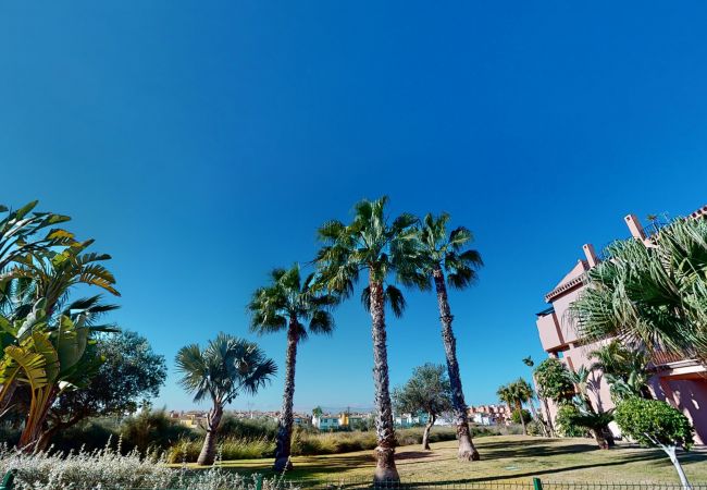 Apartamento en Torre Pacheco - Casa Abeto A - Murcia Holiday Rentals Property Apartamento en Torre Pacheco - Casa Abeto A - Murcia Holiday Rentals Property
