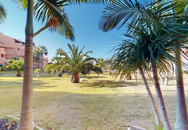 Apartamento en Torre Pacheco - Casa Abeto A - Murcia Holiday Rentals Property Apartamento en Torre Pacheco - Casa Abeto A - Murcia Holiday Rentals Property