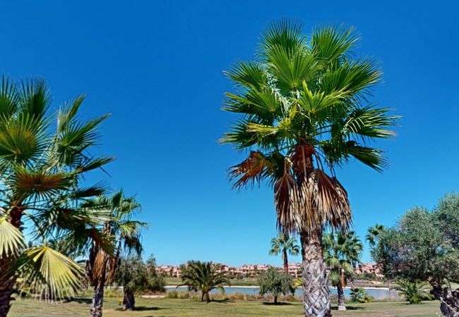Apartamento en Torre Pacheco - Casa Bonsai I - A Murcia Holiday Rentals Property Apartamento en Torre Pacheco - Casa Bonsai I - A Murcia Holiday Rentals Property