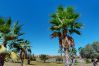 Apartamento en Torre Pacheco - Casa Bonsai I - A Murcia Holiday Rentals Property Apartamento en Torre Pacheco - Casa Bonsai I - A Murcia Holiday Rentals Property