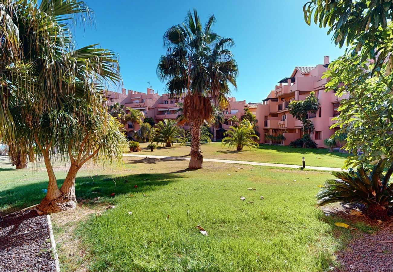 Apartamento en Torre Pacheco - Casa Bonsai M-Murcia Holiday Rentals Property Apartamento en Torre Pacheco - Casa Bonsai M-Murcia Holiday Rentals Property