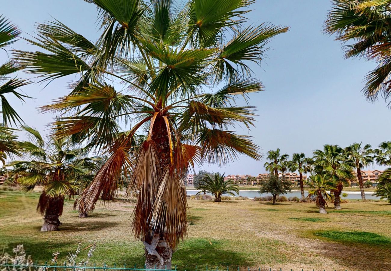 Apartamento en Torre Pacheco - Casa Bonsai M-Murcia Holiday Rentals Property Apartamento en Torre Pacheco - Casa Bonsai M-Murcia Holiday Rentals Property