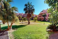 Apartamento en Torre Pacheco - Casa Bonsai M-Murcia Holiday Rentals Property