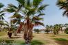 Apartamento en Torre Pacheco - Casa Bonsai M-Murcia Holiday Rentals Property Apartamento en Torre Pacheco - Casa Bonsai M-Murcia Holiday Rentals Property