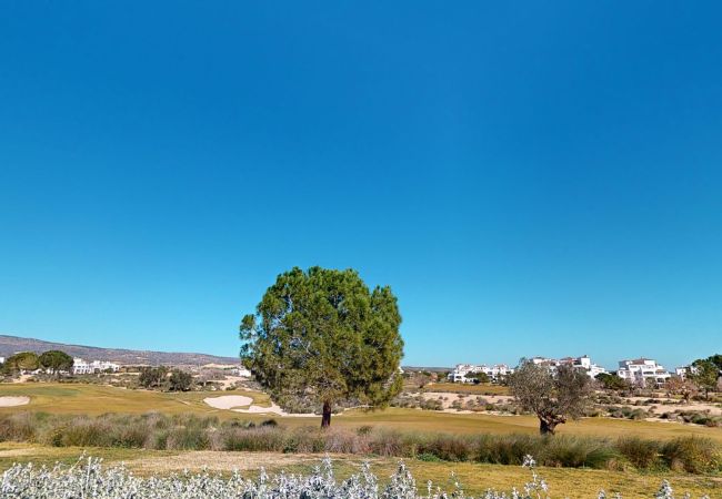 Apartamento en Sucina - Casa Atlantico SVE-Murcia Holiday Rentals Property Apartamento en Sucina - Casa Atlantico SVE-Murcia Holiday Rentals Property