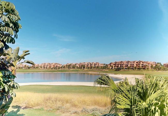 Apartamento en Torre Pacheco - Casa Zarza - A Murcia Holiday Rentals Property Apartamento en Torre Pacheco - Casa Zarza - A Murcia Holiday Rentals Property