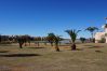 Apartment in Torre Pacheco - Ginkgo 302891 - Mid Term on Mar Menor Golf Apartment in Torre Pacheco - Ginkgo 302891 - Mid Term on Mar Menor Golf