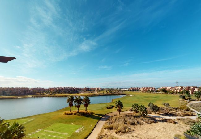 Apartment in Torre Pacheco - Casa Cocotero - Mid Term on Mar Menor Apartment in Torre Pacheco - Casa Cocotero - Mid Term on Mar Menor
