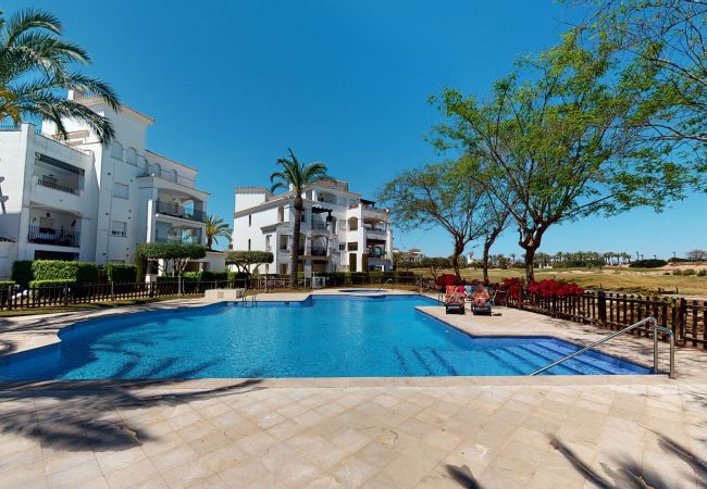 Apartment in Roldan - Casa Anchoa M- Mid/Long Term on La Torre Apartment in Roldan - Casa Anchoa M- Mid/Long Term on La Torre
