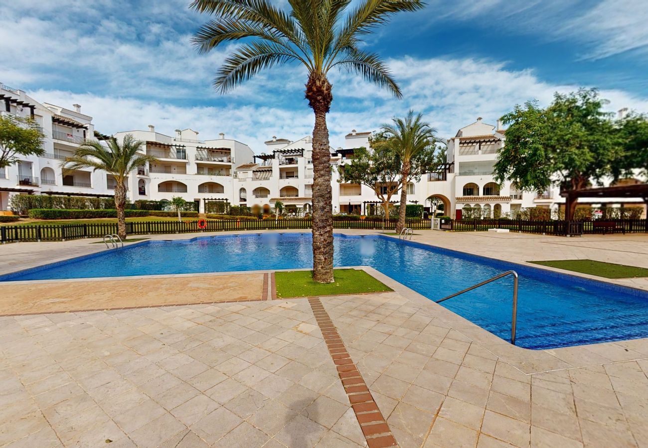 Apartment in Roldan - Casa Tintorera- Mid/Long Term on La Torre Apartment in Roldan - Casa Tintorera- Mid/Long Term on La Torre