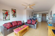 Apartment in Torre Pacheco - Casa Abeto JMB - Mid Term on Mar Menor