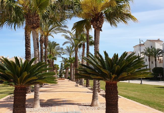 Apartment in Roldan - Casa Bacaladilla-A Murcia Holiday Rentals Property Apartment in Roldan - Casa Bacaladilla-A Murcia Holiday Rentals Property