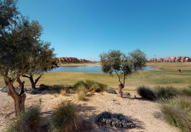 Apartment in Torre Pacheco - Ginkgo 278656 - A Murcia Holiday Rentals Property Apartment in Torre Pacheco - Ginkgo 278656 - A Murcia Holiday Rentals Property