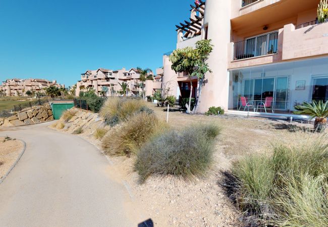 Apartment in Torre Pacheco - Ginkgo 278656 - A Murcia Holiday Rentals Property Apartment in Torre Pacheco - Ginkgo 278656 - A Murcia Holiday Rentals Property