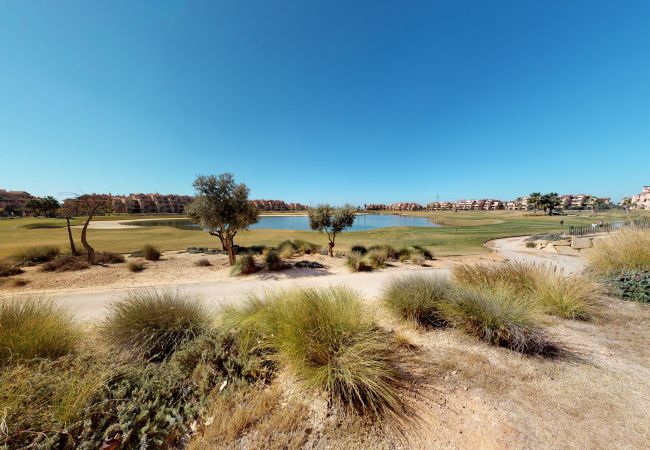 Apartment in Torre Pacheco - Ginkgo 278656 - A Murcia Holiday Rentals Property Apartment in Torre Pacheco - Ginkgo 278656 - A Murcia Holiday Rentals Property