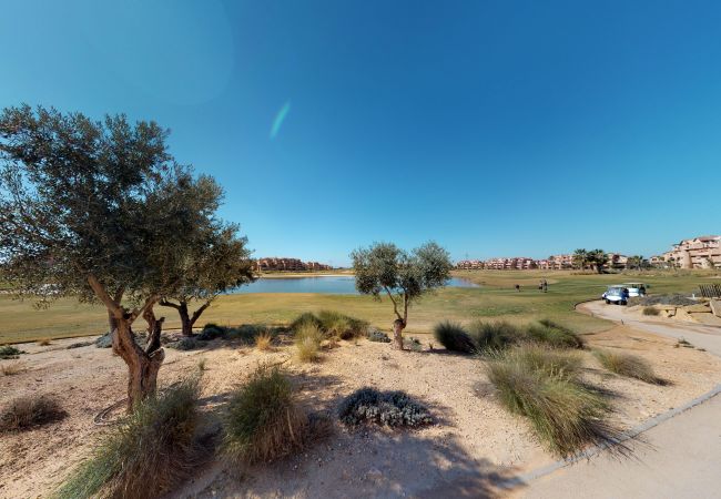 Apartment in Torre Pacheco - Ginkgo 278656 - A Murcia Holiday Rentals Property Apartment in Torre Pacheco - Ginkgo 278656 - A Murcia Holiday Rentals Property
