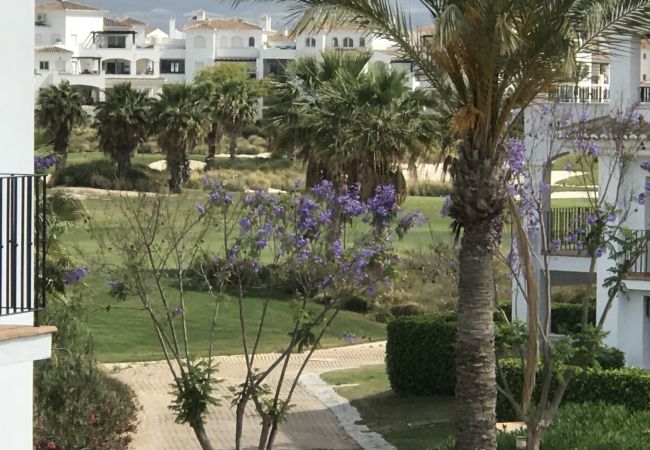 Apartment in Roldan - Remora 291685-A Murcia Holiday Rentals Property Apartment in Roldan - Remora 291685-A Murcia Holiday Rentals Property