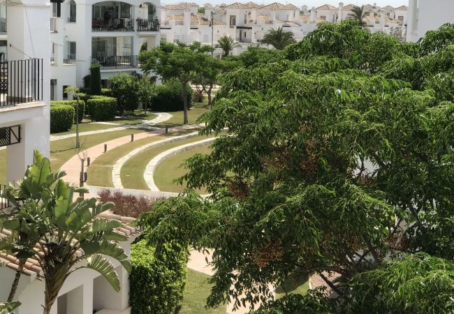 Apartment in Roldan - Remora 291685-A Murcia Holiday Rentals Property Apartment in Roldan - Remora 291685-A Murcia Holiday Rentals Property