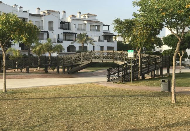 Apartment in Roldan - Remora 291685-A Murcia Holiday Rentals Property Apartment in Roldan - Remora 291685-A Murcia Holiday Rentals Property