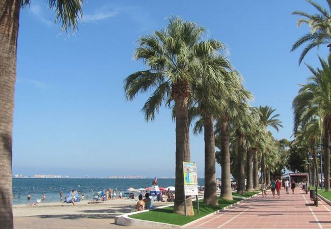 Apartment in Los Alcazares - Darsena RodaGolf-A Murcia Holiday Rentals Property Apartment in Los Alcazares - Darsena RodaGolf-A Murcia Holiday Rentals Property