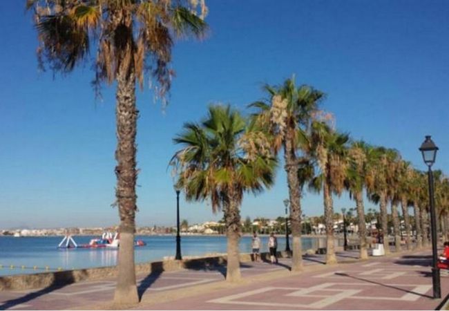 Apartment in Los Alcazares - Darsena RodaGolf-A Murcia Holiday Rentals Property Apartment in Los Alcazares - Darsena RodaGolf-A Murcia Holiday Rentals Property