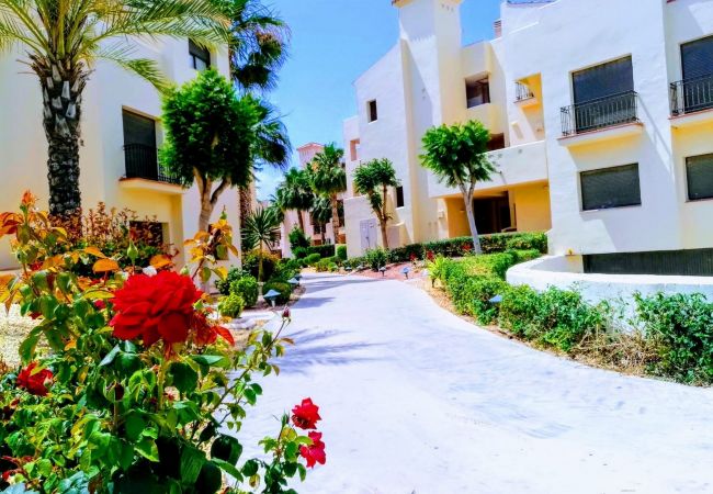 Apartment in Los Alcazares - Darsena RodaGolf-A Murcia Holiday Rentals Property Apartment in Los Alcazares - Darsena RodaGolf-A Murcia Holiday Rentals Property