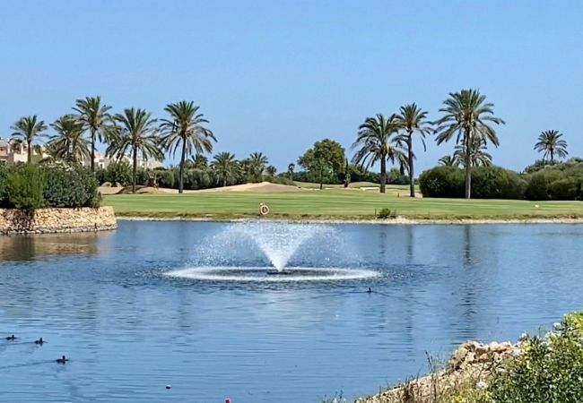 Apartment in Los Alcazares - Darsena RodaGolf-A Murcia Holiday Rentals Property Apartment in Los Alcazares - Darsena RodaGolf-A Murcia Holiday Rentals Property