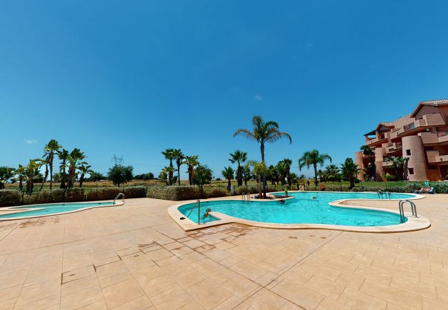 Apartment in Torre Pacheco - Casa PedroRoca-A Murcia Holiday Rentals Property Apartment in Torre Pacheco - Casa PedroRoca-A Murcia Holiday Rentals Property