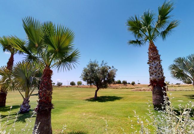 Apartment in Torre Pacheco - Casa PedroRoca-A Murcia Holiday Rentals Property Apartment in Torre Pacheco - Casa PedroRoca-A Murcia Holiday Rentals Property