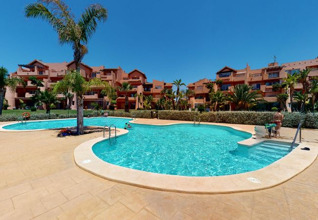 Apartment in Torre Pacheco - Casa PedroRoca-A Murcia Holiday Rentals Property Apartment in Torre Pacheco - Casa PedroRoca-A Murcia Holiday Rentals Property