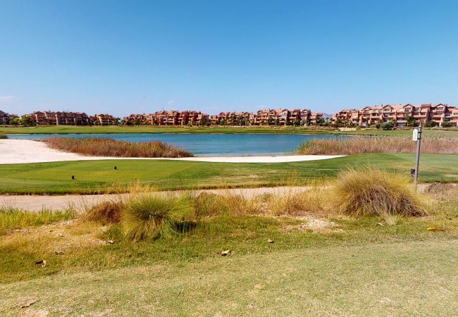 Apartment in Torre Pacheco - Casa BuenaVista-A Murcia Holiday Rentals Property Apartment in Torre Pacheco - Casa BuenaVista-A Murcia Holiday Rentals Property