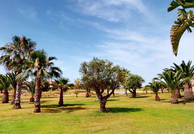 Apartment in Torre Pacheco - Casa Espliego P-A Murcia Holiday Rentals Property Apartment in Torre Pacheco - Casa Espliego P-A Murcia Holiday Rentals Property