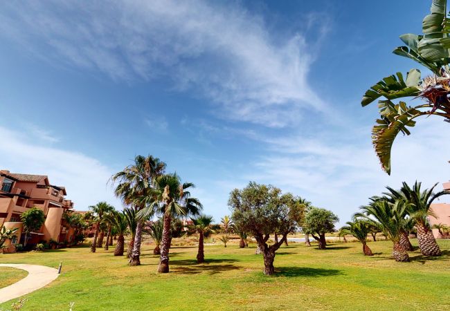 Apartment in Torre Pacheco - Casa Espliego P-A Murcia Holiday Rentals Property Apartment in Torre Pacheco - Casa Espliego P-A Murcia Holiday Rentals Property