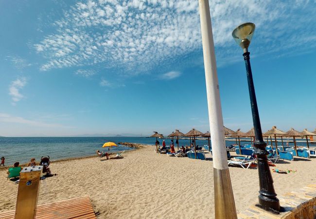 Apartment in Los Alcazares - Casa Todo Verde-A Murcia Holiday Rentals Property Apartment in Los Alcazares - Casa Todo Verde-A Murcia Holiday Rentals Property