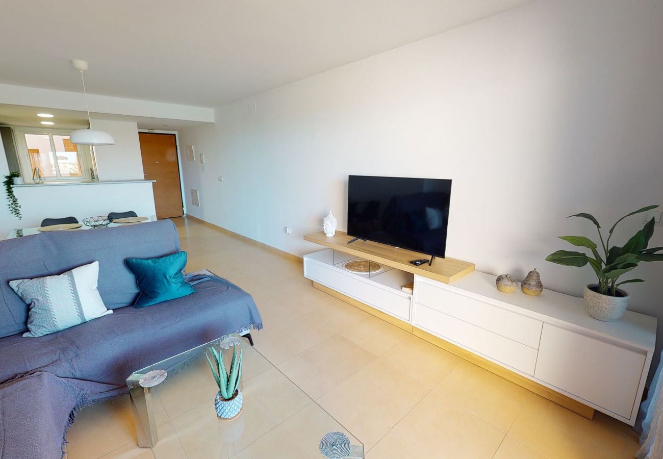 Apartment in Torre Pacheco - Casa Cocotero C-A Murcia Holiday Rentals Property Apartment in Torre Pacheco - Casa Cocotero C-A Murcia Holiday Rentals Property