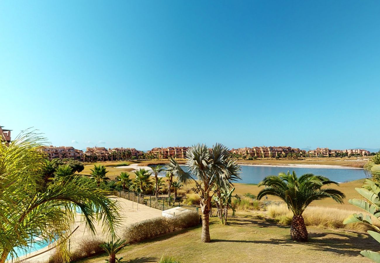 Apartment in Torre Pacheco - Casa Cocotero C-A Murcia Holiday Rentals Property Apartment in Torre Pacheco - Casa Cocotero C-A Murcia Holiday Rentals Property