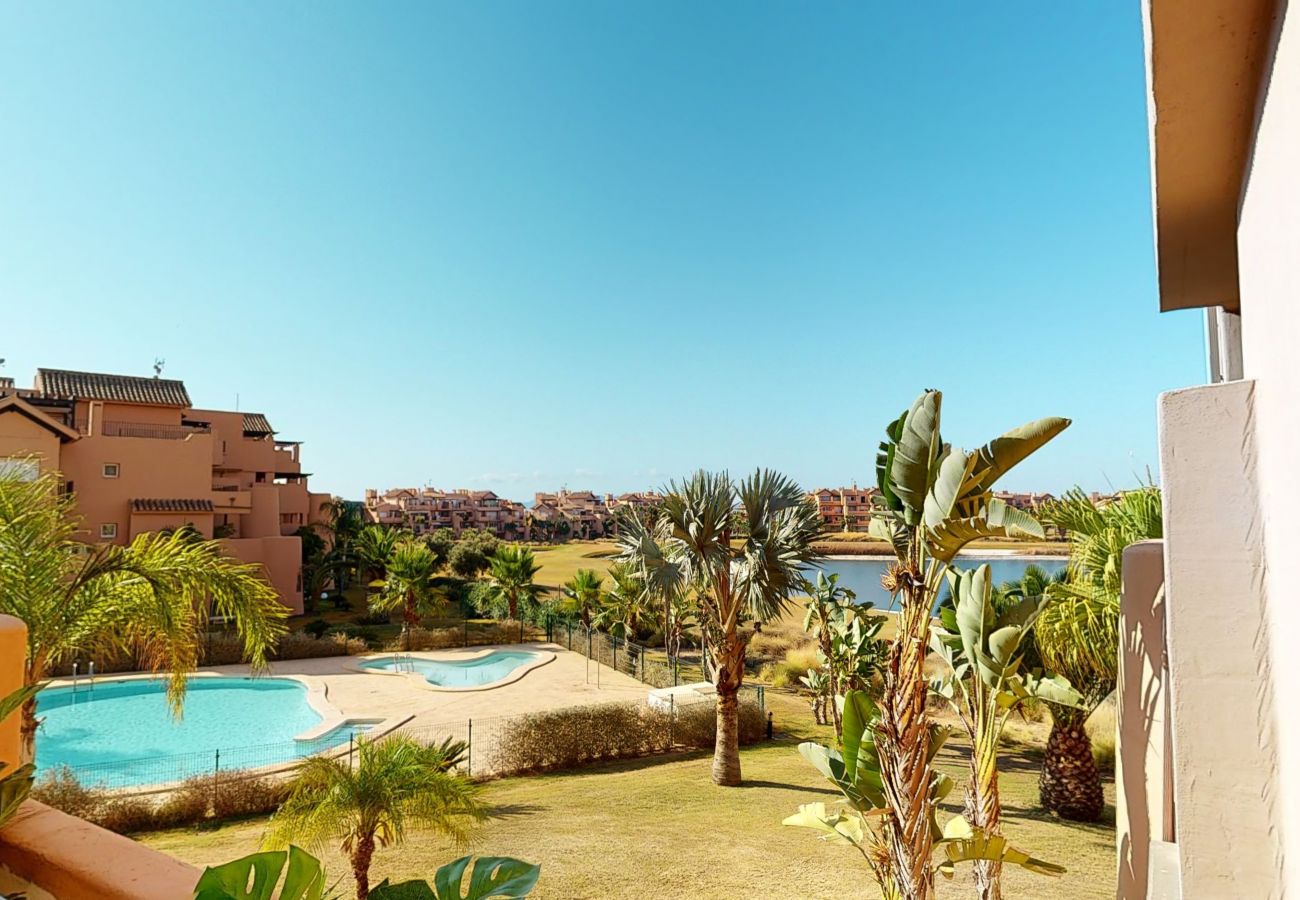 Apartment in Torre Pacheco - Casa Cocotero C-A Murcia Holiday Rentals Property Apartment in Torre Pacheco - Casa Cocotero C-A Murcia Holiday Rentals Property