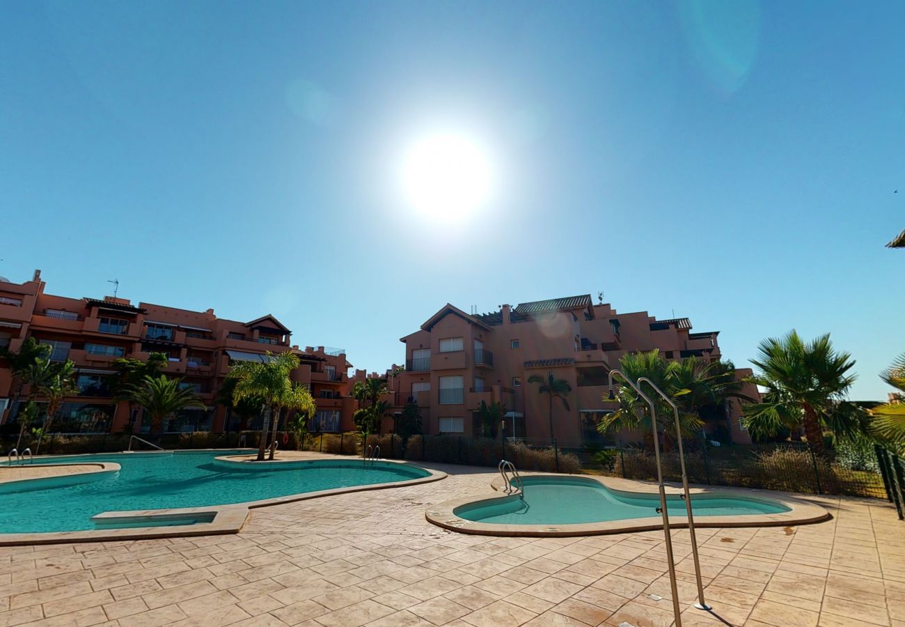 Apartment in Torre Pacheco - Casa Cocotero C-A Murcia Holiday Rentals Property Apartment in Torre Pacheco - Casa Cocotero C-A Murcia Holiday Rentals Property