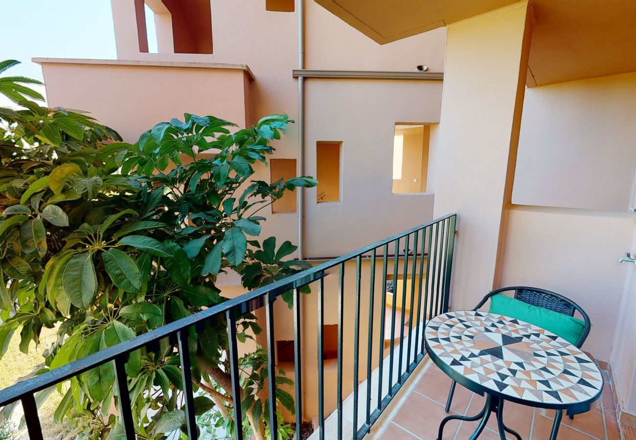 Apartment in Torre Pacheco - Casa Cocotero C-A Murcia Holiday Rentals Property Apartment in Torre Pacheco - Casa Cocotero C-A Murcia Holiday Rentals Property