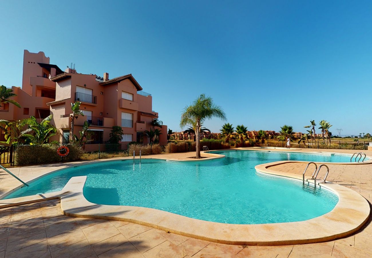 Apartment in Torre Pacheco - Casa Cocotero C-A Murcia Holiday Rentals Property Apartment in Torre Pacheco - Casa Cocotero C-A Murcia Holiday Rentals Property