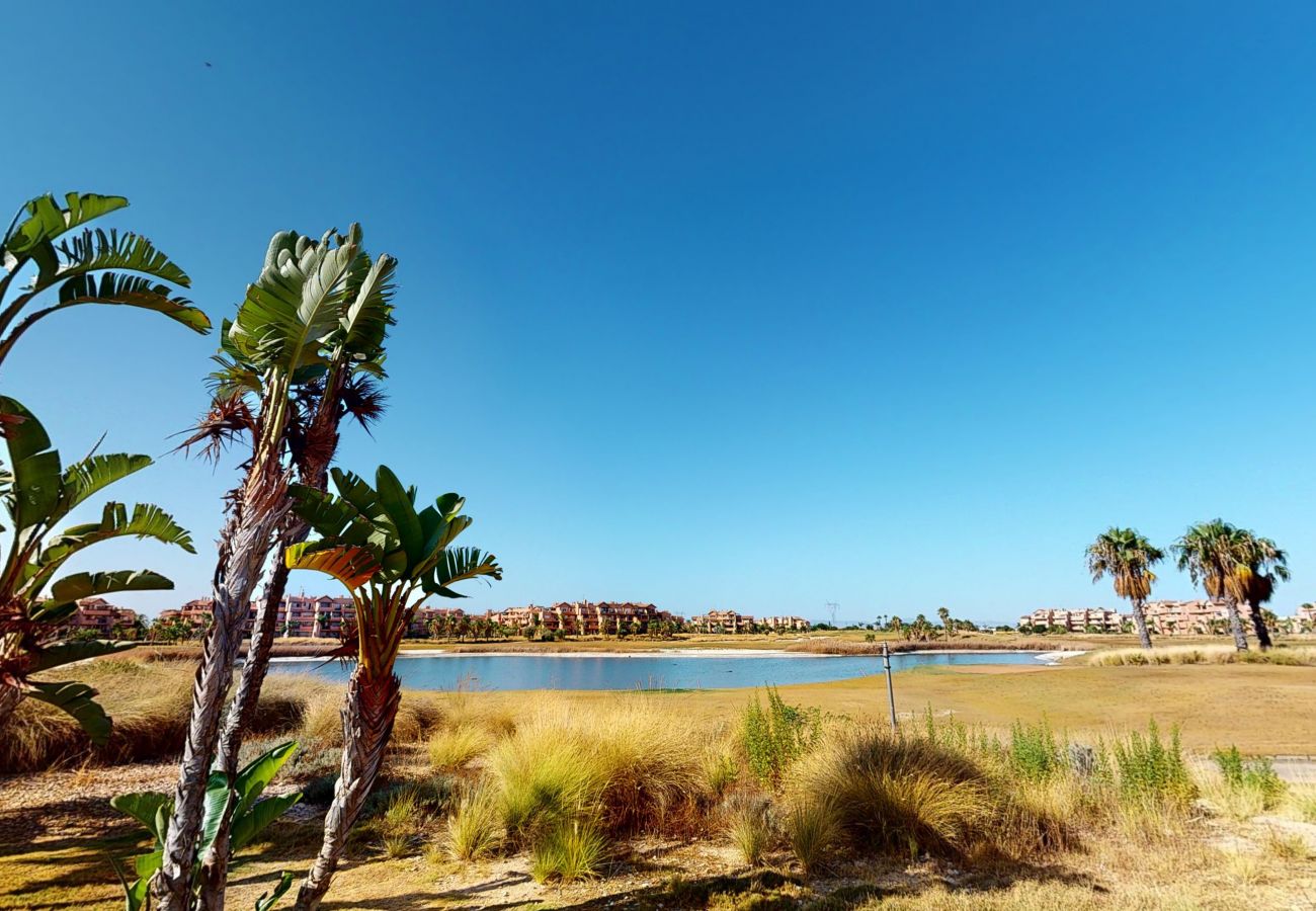 Apartment in Torre Pacheco - Casa Cocotero C-A Murcia Holiday Rentals Property Apartment in Torre Pacheco - Casa Cocotero C-A Murcia Holiday Rentals Property
