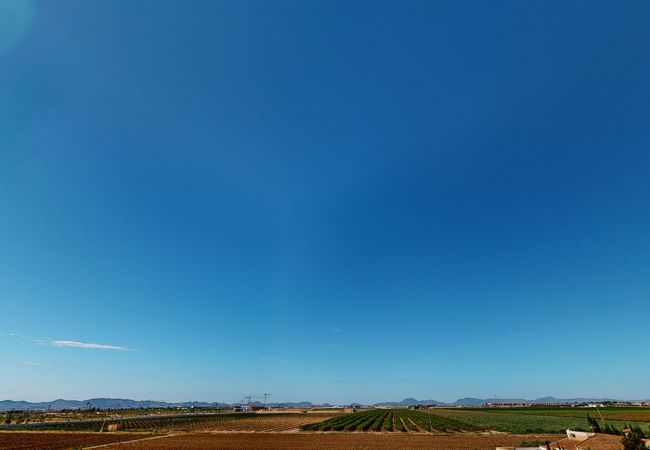 Terraced House in Torre Pacheco - Casa Rosalia - A Murcia Holiday Rentals Property Terraced House in Torre Pacheco - Casa Rosalia - A Murcia Holiday Rentals Property